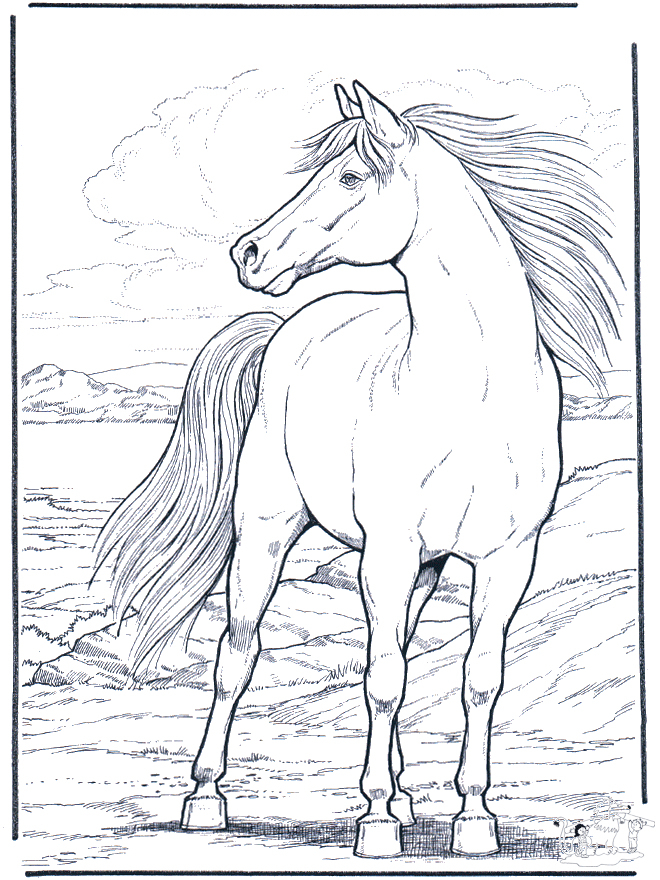 Cheval Dans Le Vent - Coloriages De Chevaux Et Poneys pour Dessin A Colorier Cheval 