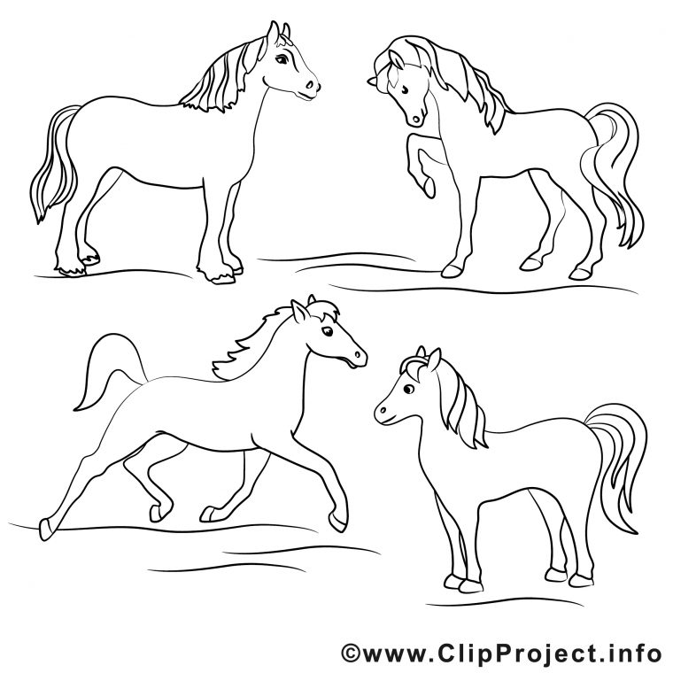 Chevaux Dessin – Coloriage Cheval À Télécharger – Chevaux pour Image Cheval A Colorier