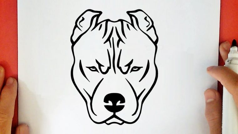 Chien Méchant Pitbull Dessin pour Dessin Chien Méchant