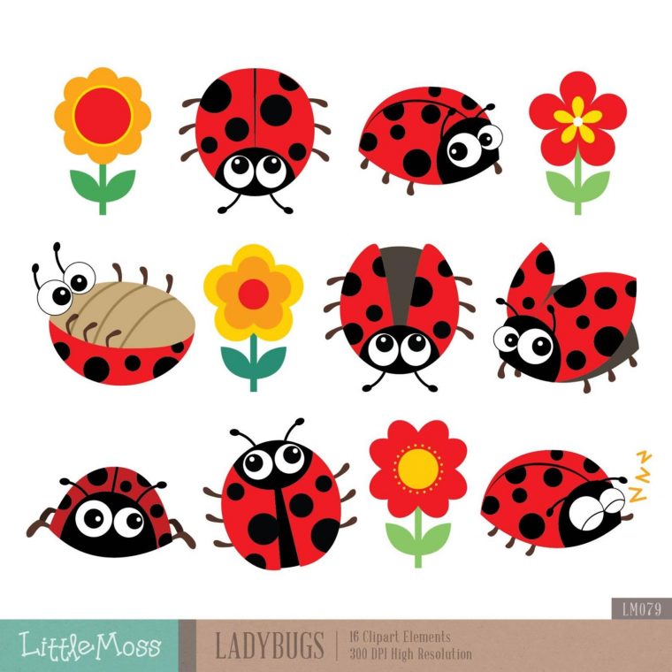 Clipart De Coccinelles Image 0  Ladybug Clipart, Crafts destiné Coccinelle Dessin