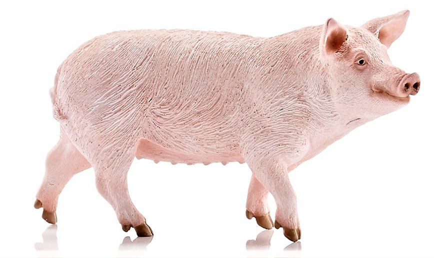 Cochon - Augrenierdepinocchio.fr concernant Pourquoi Les Cochons Se Roulent Dans La Boue