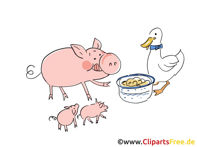 Cochon Images – Ferme Dessins Gratuits – Ferme Dessin à Dessin Cochon