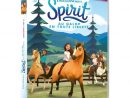 Coffret Spirit : Au Galop En Toute Liberté - Saison 1 &amp;2 encequiconcerne Spirit Dessin Anime