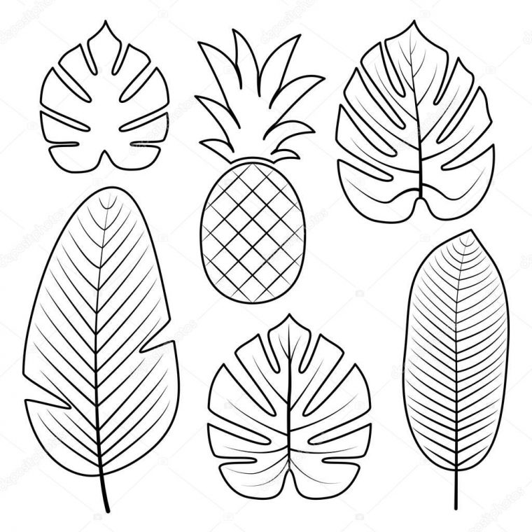 Collection De Feuilles Tropicales. Illustration tout Dessin De Feuille D Arbre