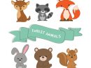 Collection De Six Animaux De La Forêt  Vecteur Gratuite pour Dessin Animaux De La Foret
