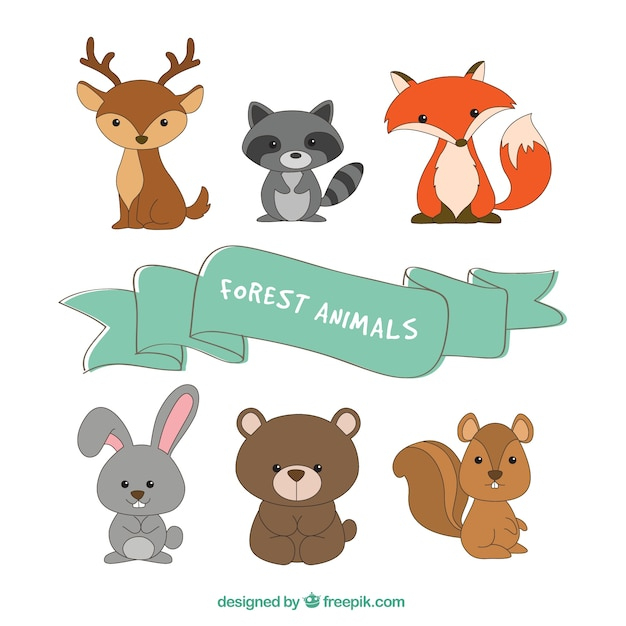 Collection De Six Animaux De La Forêt  Vecteur Gratuite pour Dessin Animaux De La Foret 