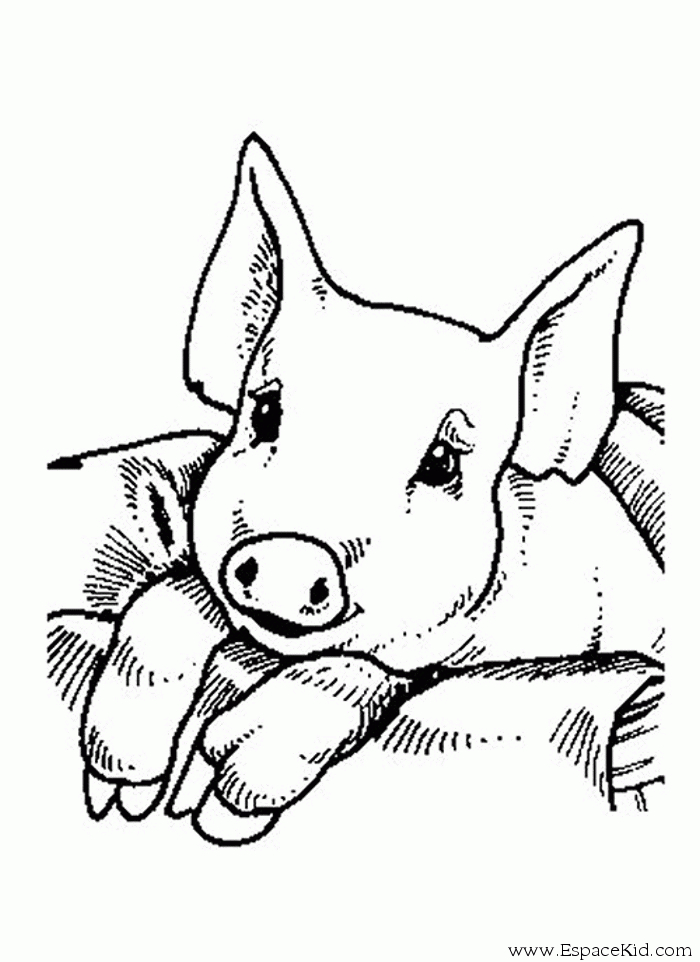 Coloriage Ã Dessiner Cochon D&amp;#039;Inde Ã Imprimer concernant Coloriage Cochon D Inde 