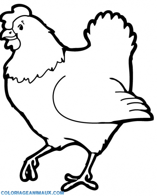 Coloriage À Dessiner De Poule Pour Paques à Poule Facile A Dessiner