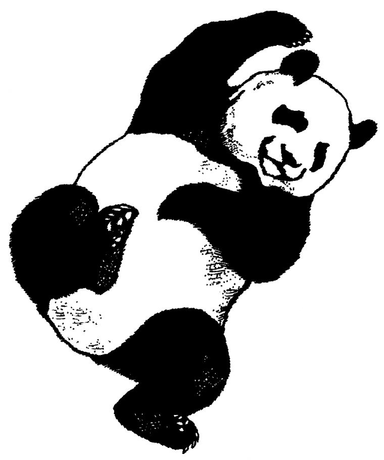 Coloriage À Imprimer : Animaux – Panda Numéro 106545 tout Panda À Colorier