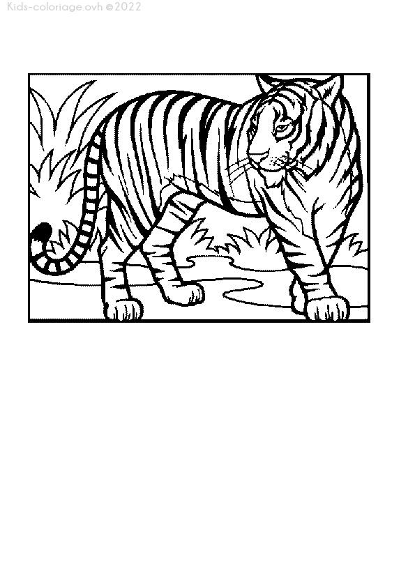 Coloriage À Imprimer Coloriage-Animaux-Zoo-46 dedans Coloriage D Animaux Gratuit 