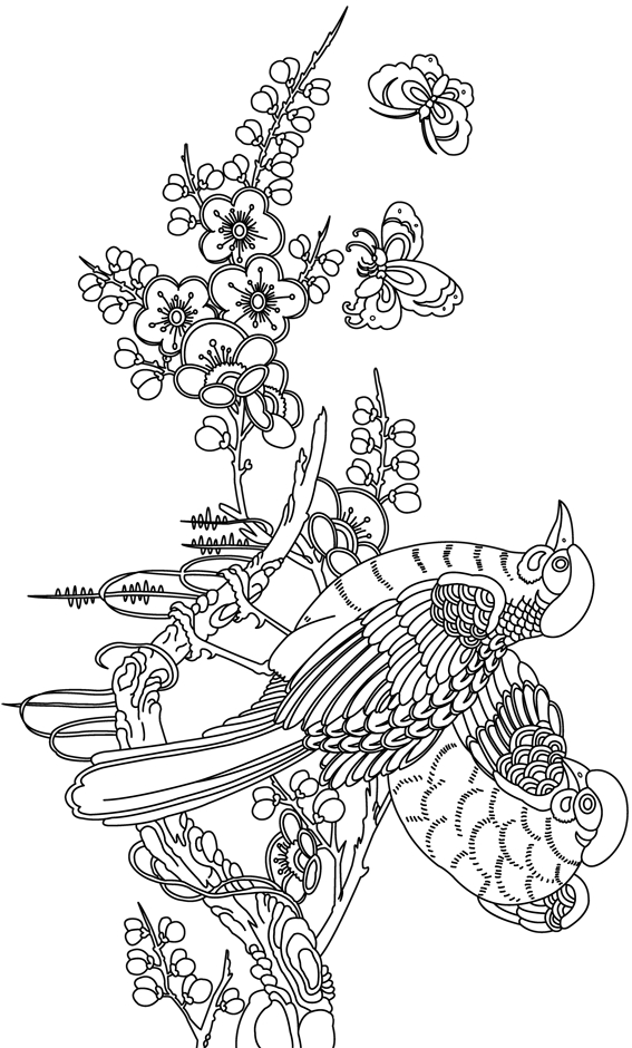 Coloriage À Imprimer : Des Oiseaux Sur Une Branche destiné Coloriage D Oiseaux A Imprimer Gratuit