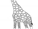 Coloriage À Imprimer Girafe-6 serapportantà Coloriage Jungle À Imprimer