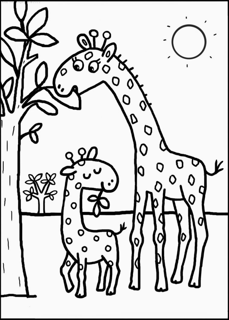 Coloriage À Imprimer Girafe-8 avec Dessin Gratuit À Imprimer