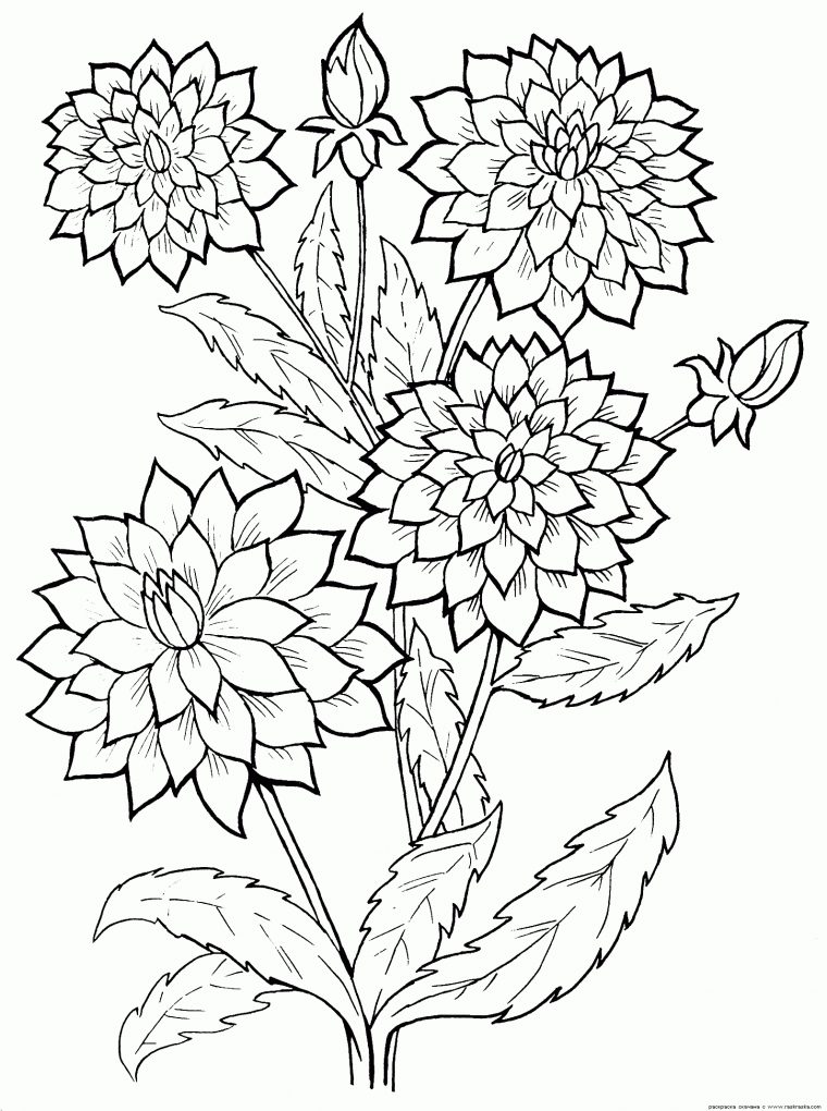 Coloriage A Imprimer—-Hd—Coloriage Fleur  Flower Line destiné Fleur Coloriage A Imprimer