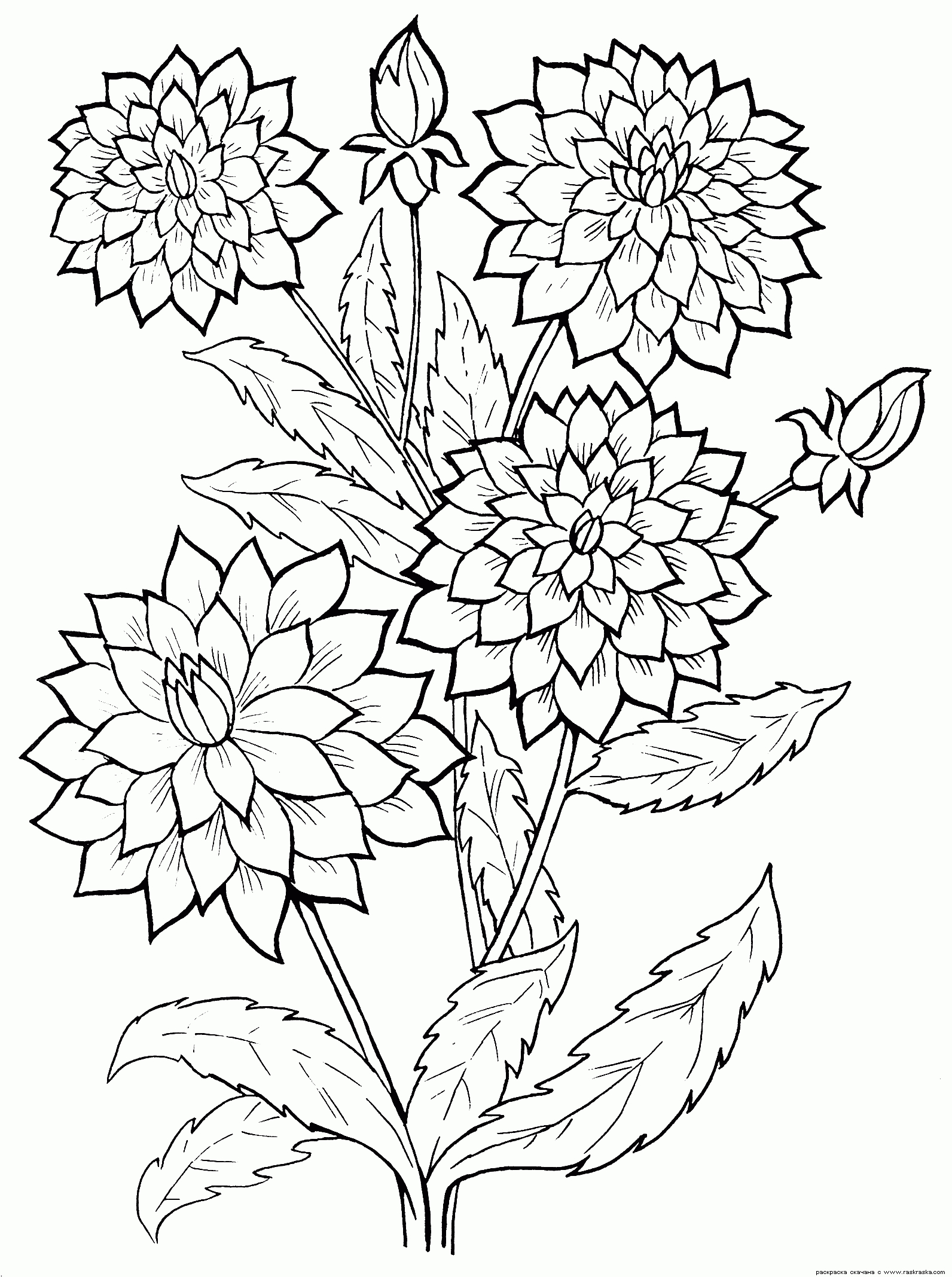 Coloriage A Imprimer—-Hd—Coloriage Fleur  Flower Line destiné Fleur Coloriage A Imprimer