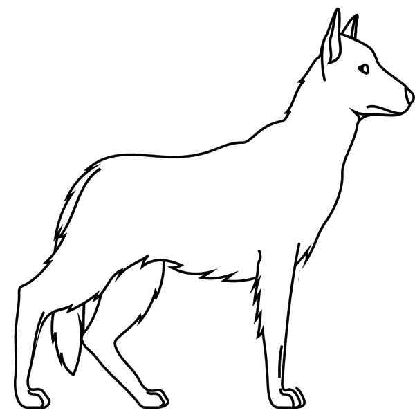 Coloriage À Imprimer : Un Chien, Le Berger Allemand à Dessin De Chien De Chasse A Imprimer