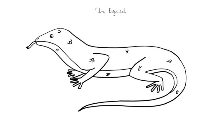 Coloriage À Imprimer : Un Lézard tout Coloriage Lézard