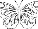 Coloriage À Imprimer : Un Papillon à Masque Papillon À Imprimer
