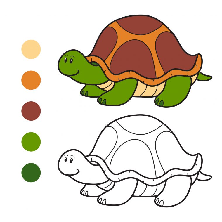 Coloriage À Imprimer : Une Tortue pour Coloriages Tortues Ninja À Imprimer