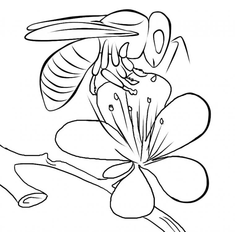 Coloriage Abeille #83 (Animaux) – Album De Coloriages concernant Abeille Coloriage