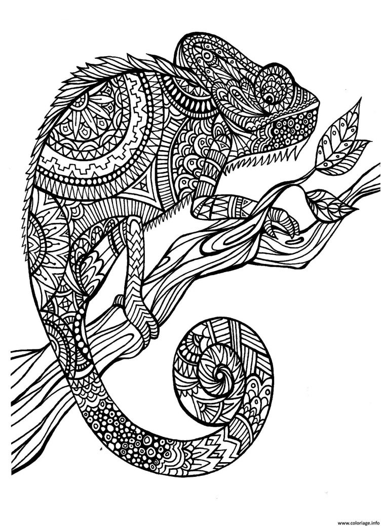 Coloriage Adulte Animaux Cameleon Dessin Adulte Animaux À tout Dessin Animaux À Imprimer