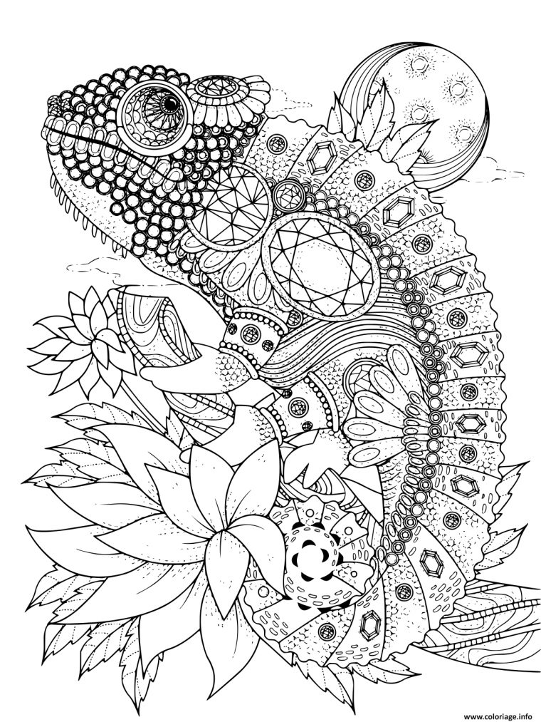 Coloriage Adulte Animaux Cameleon Orne De Bijoux Dessin encequiconcerne Déssin A Imprimer