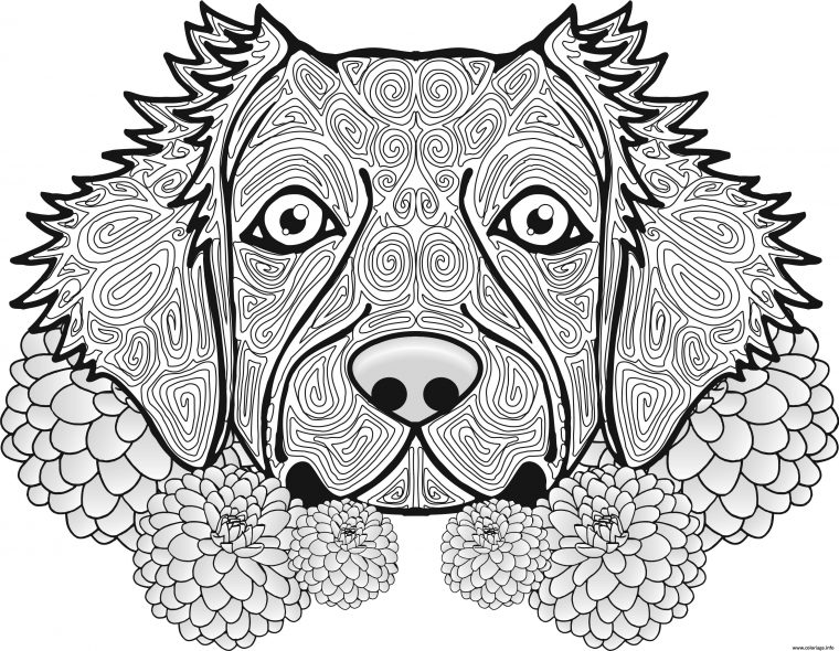 Coloriage Adulte Chien Dog Animal Dessin Adulte Animaux À concernant Animaux A Colorier