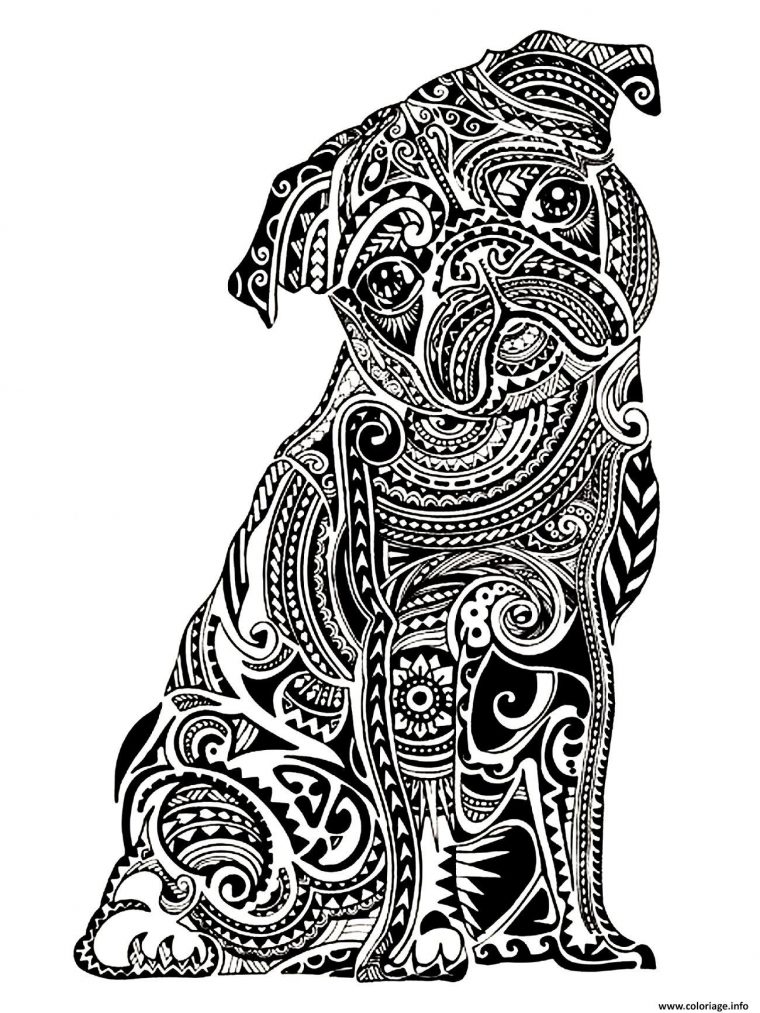 Coloriage Adulte Difficile Petit Buldog Dessin Adulte intérieur Déssin A Imprimer