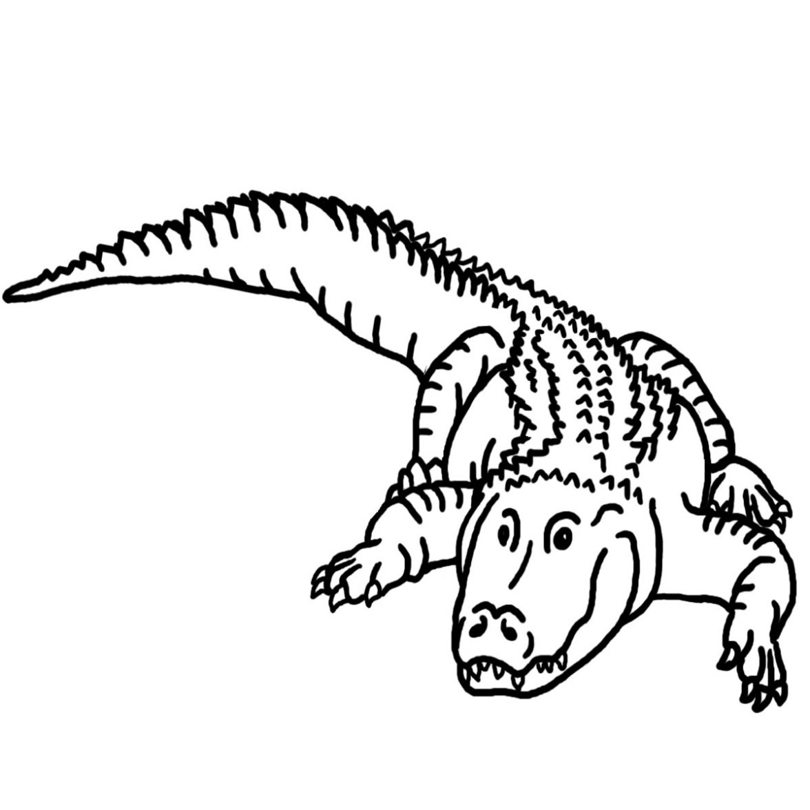 Coloriage Alligator #380 (Animaux) - Album De Coloriages dedans Coloriage Crocodile 