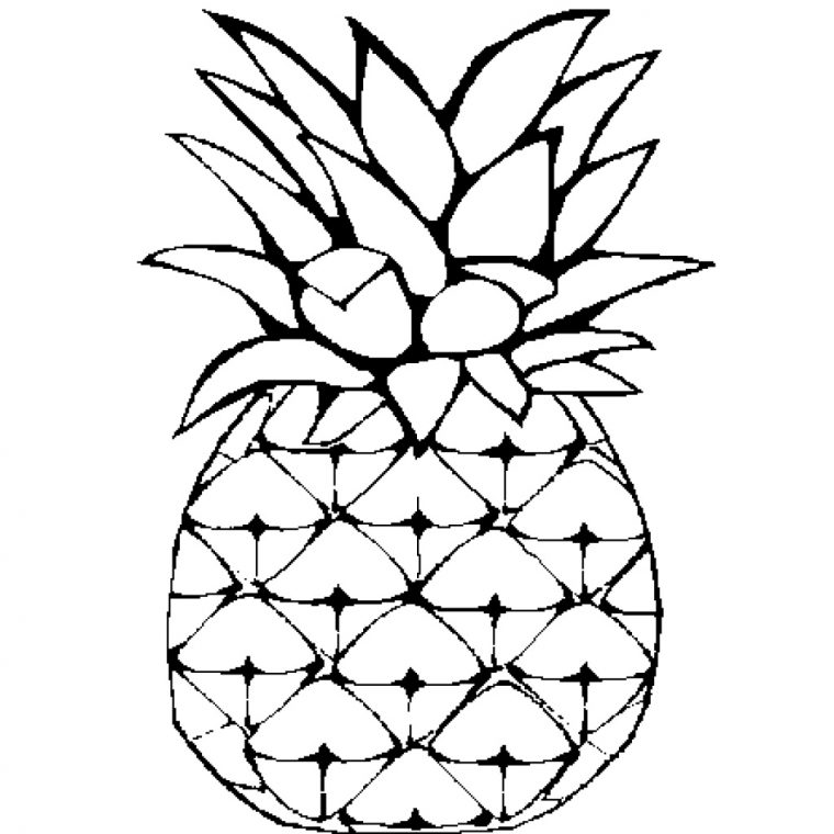 Coloriage Ananas Impressionnant Photos Le Cuir Vegan D destiné Coloriage Ananas