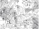 Coloriage Animaux Dans La Jungle - Coloriages Gratuits À tout Dessin Des Animaux A Imprimer
