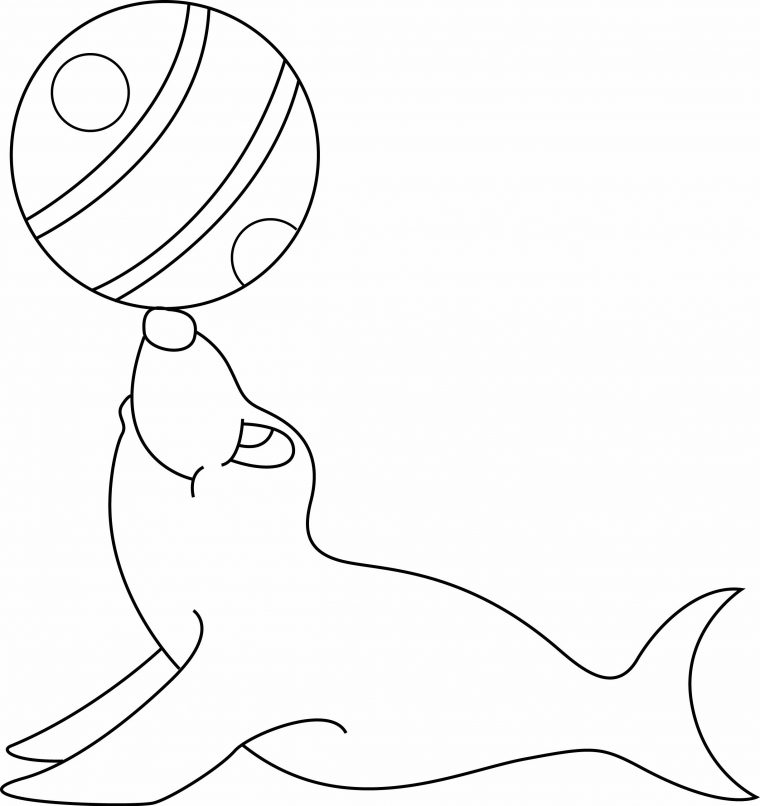 Coloriage – Animaux : Phoque 01 – 10 Doigts dedans Coloriage Phoque