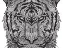 Coloriage Anti-Stress Zen Tigre Dessin Gratuit À Imprimer tout Coloriage À Imprimer D Animaux