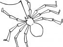 Coloriage Araignée #597 (Animaux) - Album De Coloriages serapportantà Dessin Araignée