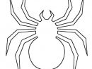 Coloriage Araignée À Compléter serapportantà Dessin Araignée