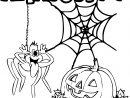 Coloriage Araignée Halloween À Imprimer concernant Araignée À Colorier