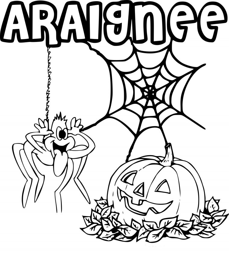 Coloriage Araignée Halloween À Imprimer concernant Araignée À Colorier