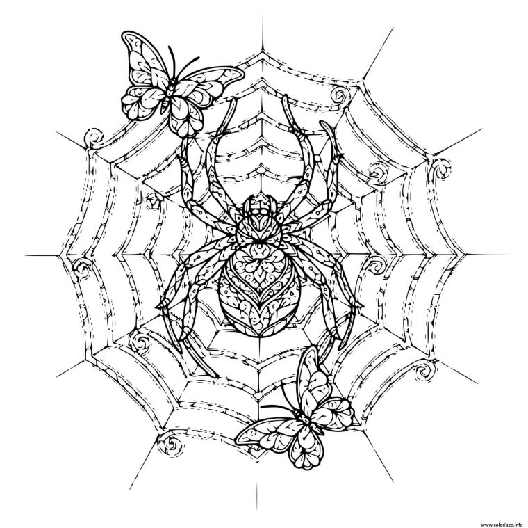 Coloriage Araignee Papillon Mandala Adulte – Jecolorie à Araignée Coloriage