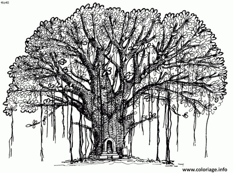 Coloriage Arbre 164 Dessin À Imprimer  Tree Coloring Page pour Arbre À Imprimer