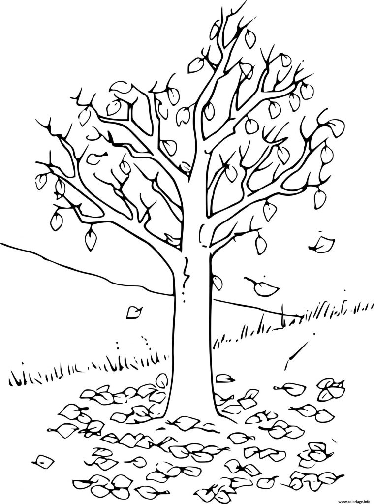 Coloriage Arbre Automne Imprimer  Disegni Di Alberi encequiconcerne Arbre À Imprimer