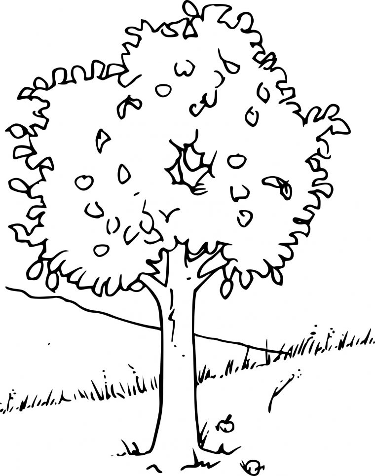 Coloriage Arbre Printemps À Imprimer concernant Dessiner Le Printemps