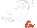 Coloriage Ariel À Imprimer Gratuit : Ariel Et Triton Est encequiconcerne Ariel La Petite Sirene Dessin