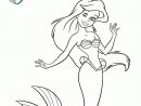 Coloriage Ariel La Petite Sirene De Disney Princesse avec Coloriages Ariel