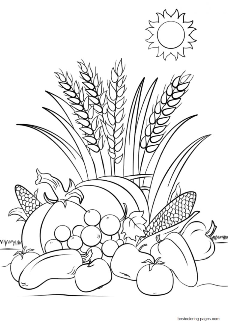 Coloriage Automne – Coloriage Automne Cp destiné Arbre Automne Coloriage