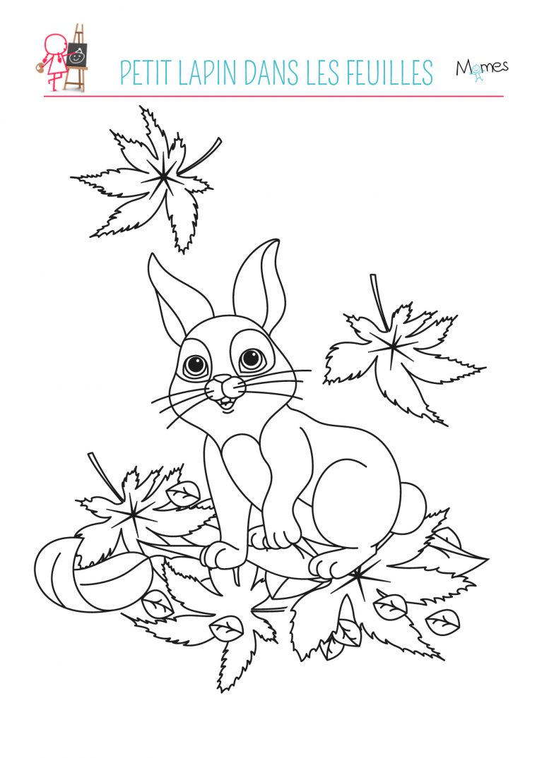 Coloriage Automne : Le Petit Lapin  Momes avec Coloriage Nature