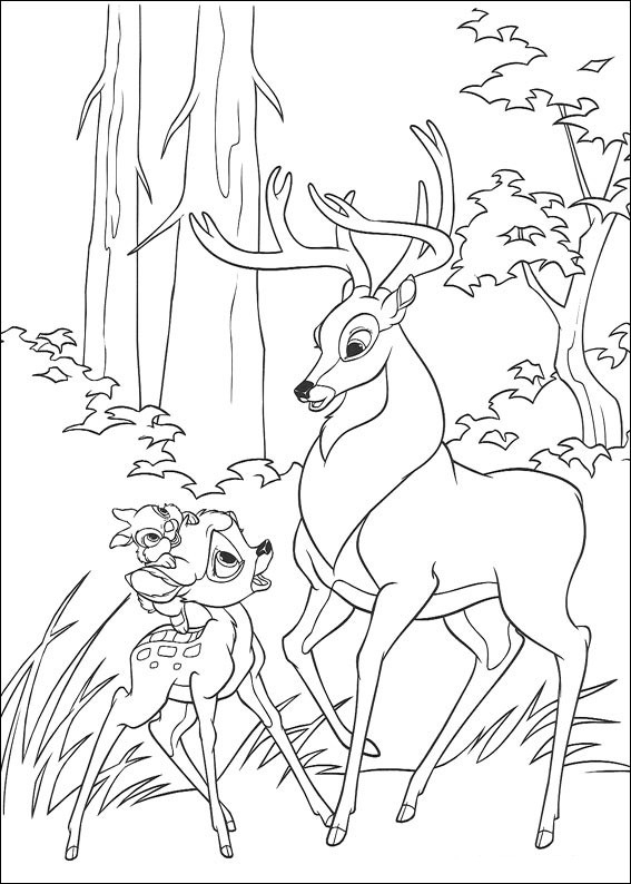 Coloriage Bambi Gratuit À Imprimer Liste 20 À 40 encequiconcerne Coloriage Forêt À Imprimer 