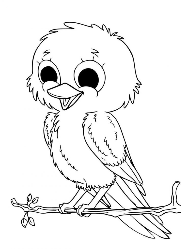 Coloriage Bébé Oiseau Mignon À Imprimer Et Colorier tout Bebe Coloriage