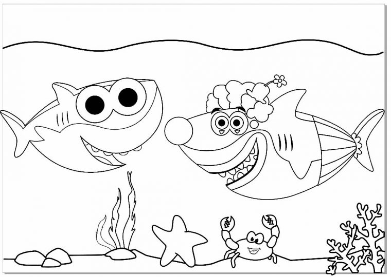 Coloriage Bébé Requin – Maison Bonte : Votre Guide concernant Coloriage Requin