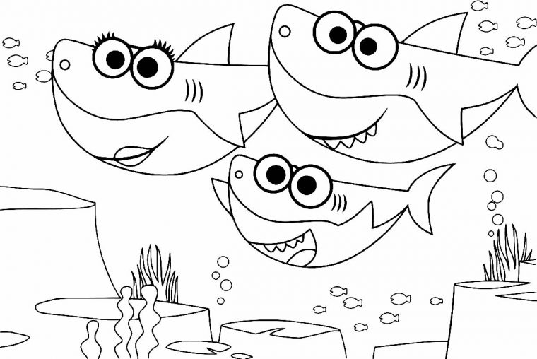 Coloriage Bébé Requin – Maison Bonte : Votre Guide intérieur Coloriage Requin