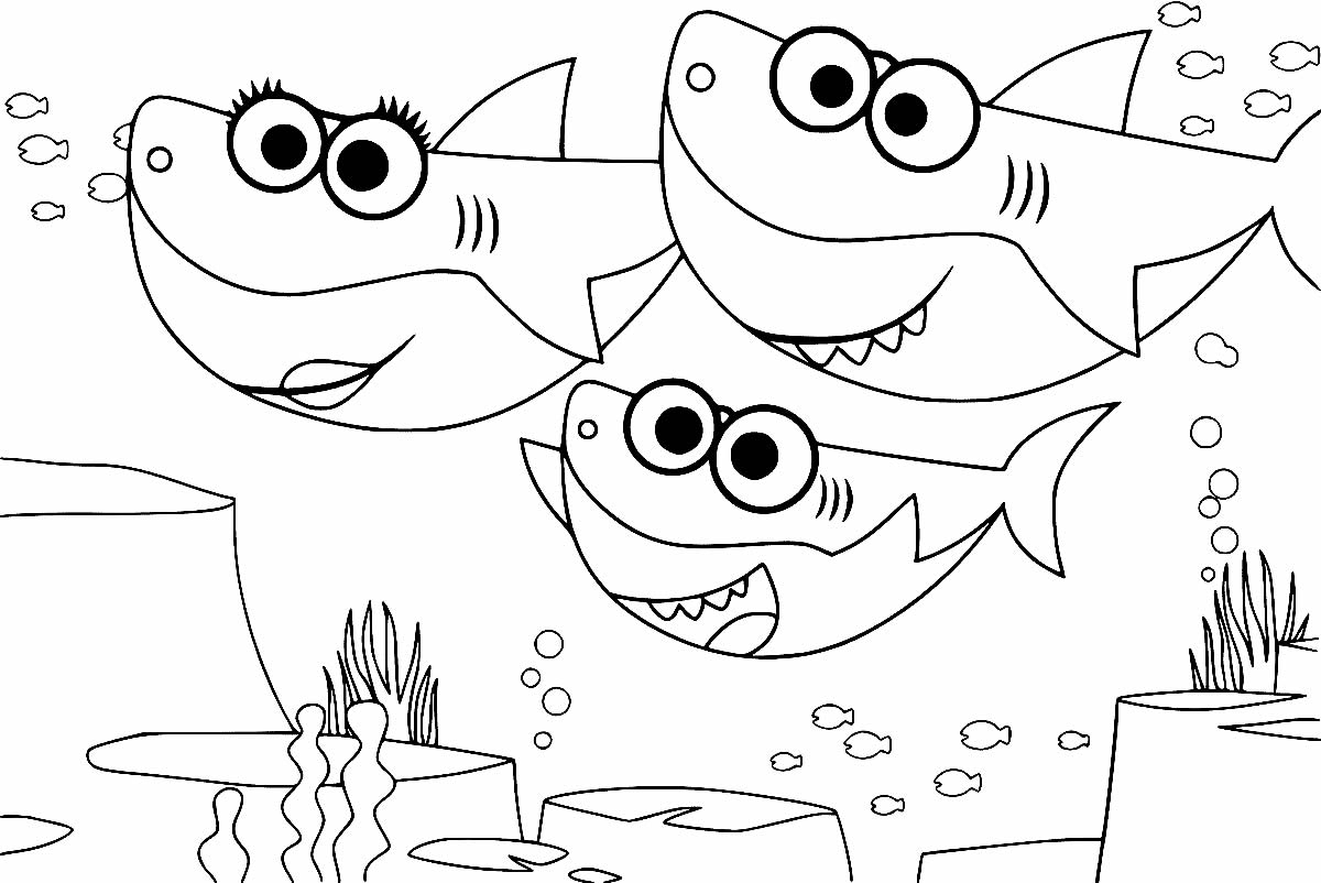 Coloriage Bébé Requin - Maison Bonte : Votre Guide intérieur Coloriage Requin 